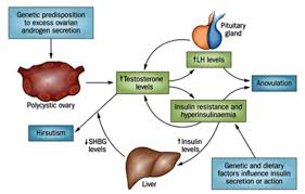 When you purchase through links on our si. Insulin Resistance The Background And The Solution Amber Wellness Group