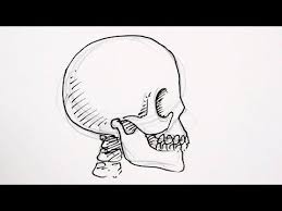 How To Draw A Skull From The Side Real Easy Drawings Skull Drawing Learn To Draw