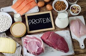 Yang makromolekul yang tepat yang biasanya ditemukan di makromolekul hewan. Yuk Kenalan Dengan Empat Tingkatan Struktur Protein