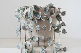 Image result for Ceropegia albipilosa