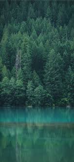 Forest Reflection At Diablo Lake Iphone 11 Wallpapers Free Download In 2020 Diablo Lake Forest Wallpaper Forest Wallpaper Iphone