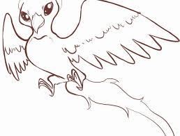 Wonderful Picture Of Phoenix Coloring Page Entitlementtrap Com In 2020 Bird Coloring Pages Coloring Pages Pictures Of Phoenix