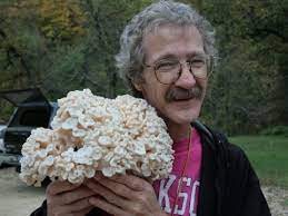 Oyster mushrooms are out among may others, sheepshead and popinkies are right around . Hen Of The Woods Maitake Or Sheepshead Mushroom Grifola Frondosa Americanmushrooms Com