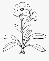 Commercial use cartoon of anchor graphic illustration black white vector clip art image number 398065. Transparent Parts Of A Flower Clipart Flower Plant Black And White Clipart Free Transparent Clipart Clipartkey