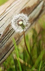 Pin On God S Glorious Creation