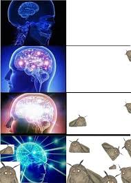 The fastest meme generator on the planet. Ever Wondered What Happens On The Right Side Of Expanding Brain Meme 9gag