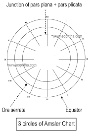 Amsler Chart Chart Drawings Diagram