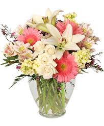 Check spelling or type a new query. New Baby Flowers From A New Leaf Florist Your Local Liberty Hill Tx