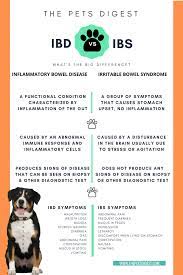 Pin On Ibd In Dogs