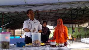 Cara buat baja organik cecair baja buah. Pembuatan Baja Organik Youtube