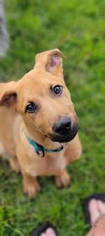 Is anyone looking for a babysitter or nanny?