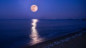 The full strawberry moon rises on thursday, june 24, 2021. A Strawberry Moon Eclipse Will Occur This Weekend How To See June S Full Moon