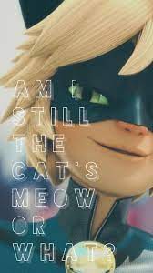 6 or 12 month special financing available. Cat Noir Papel De Parede Para Celular Miraculous Ladybug Wallpaper Miraculous Ladybug Movie Miraculous Ladybug Anime
