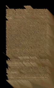 Image result for Cheilanthes schimperi