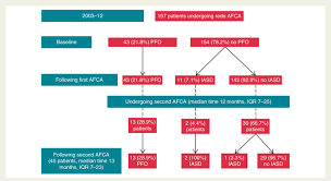 Study Flowchart Afca Atrial Fibrillation Catheter Ablation