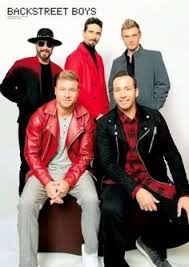 110 BSB for Life! ideas