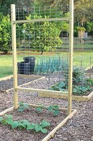 Tapestries for cucumbers can have a wide variety of designs in the form of a square, a curbstone, a rectangle, a tent. 23 Functional Cucumber Trellis Ideas Guaranteed To Boost Your Harvest