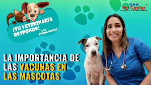 Maybe you would like to learn more about one of these? Dia Mundial Del Perro Por Que Se Celebra Hoy Y Se Dice Que Son Los Mejores Amigos Del Hombre Maltrato Animal Tercer Domingo De Junio Vida Peru21