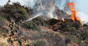 Presuppression and suppression costs are increasing but program budgets are not. The 2021 Canadian Wildfires Are The Worst The Country Has Ever Seen