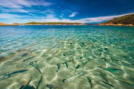 Port Cros Hyeres Tourisme Vos Vacances A Hyeres Porquerolles Port Cros Le Levant