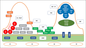 Sotto la sua direzione il locale cresce mantenendo intatti. Steroid Resistentes Nephrotisches Syndrom Springerlink