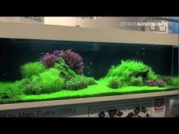 Aquascaping Tropica Planted Aquariums At Interzoo 2012 Youtube Paludarium Paysage Aquatique