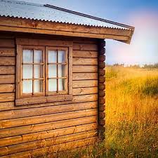 Some friends and i checked out the dugout bar (aka the log cabin). Page 13 Royalty Free Cabin Photos Pikist