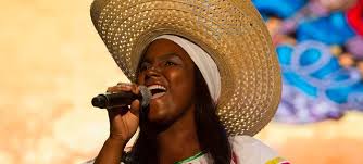 Resultado de imagen de petronio alvarez 2017