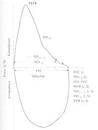 Pulmonary Function