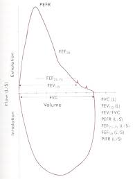 pulmonary function