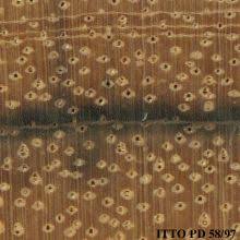 Image result for Julbernardia