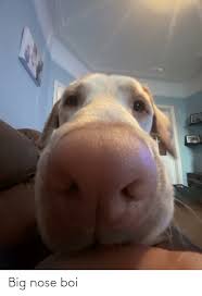 Big Nose Boi Big Nose Meme On Me Me