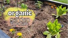 🌱 Planting Our Spring Garden with Organic & Non-GMO Veggies ...