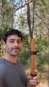 Image result for Manostachya