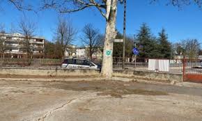 Tenuto conto che il pericolo è costituito dalle radici degli alberi che si diramano a ventaglio appena sotto la superficie dei marciapiedi ed emergono in vari punti sollevando e spaccando l'asfalto. Eliminati Gli Avvallamenti Causati Dalle Radici Nel Cortile Della Scuola Scamozzi Prima Vicenza