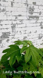 It is also utilized in highway construction to stabilize expansive clay soils and in asphalt. How I Limewashed My House For Under 10 00 Lady Butterbug