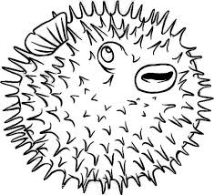 Poisonous Spine Of Puffer Fish Coloring Page Kids Play Color In 2020 Fish Coloring Page Coloring Pages Coloring Pictures