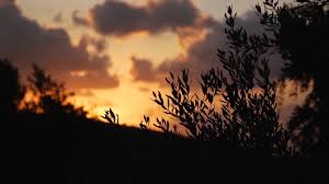 Triangle Community Foundation (@trianglecommunityfoundation) • Instagram  photos and videos