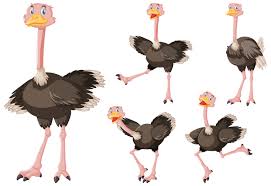 Cute Ostrich Cartoon Character Download Free Vectors Clipart Graphics Vector Art 400+ vectors, stock photos & psd files. vecteezy
