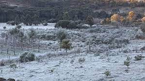 Sao joaquim neve no brasil. Santa Catarina Registra Temperatura Negativa No Amanhecer De Domingo Santa Catarina G1