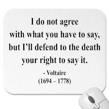True Definition Of Freedom Of Speech Words Quotes Sayings