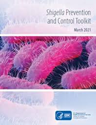Image result for Shigella
