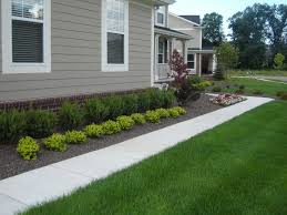 5 to 9 (find your zone) Landscaping Front Of House With Boxwoods Boxwood 8 Ways To Use Evergreens To Create Curb Appeal
