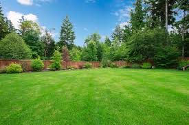 Commercial lawn care tailored to you when you partner with your local u.s. Lawn Care Brookhaven Ga