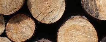 Store details for the dollartree store in abilene, tx where everything's $1 or less! Firewood Aaa Cutting Edge