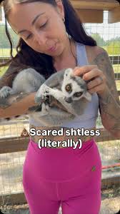 Animals Taste Freeze-Dried Shrimp for the First Time