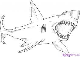 It's not always a pleasant conversat. Get This Great White Shark Coloring Pages 41665