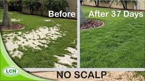 A comprehensive lawn care program will do this for you, make sure that it includes: Uneven Lawn Leveling Don T Do It This Way Youtube
