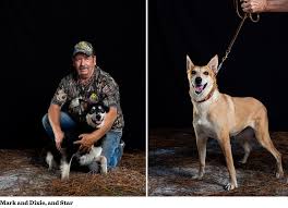 Puppies for sale from charlotte, north carolina breeders. Carolina Dogs The Bitter Southerner
