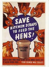 I Totally Do This Even Restaurant Leftovers Chickens Backyard Raising Chickens Hens